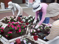 DSCF8511.JPG