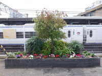DSCF8681.JPG