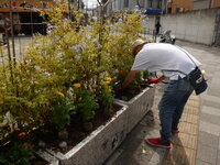DSCF9329.JPG